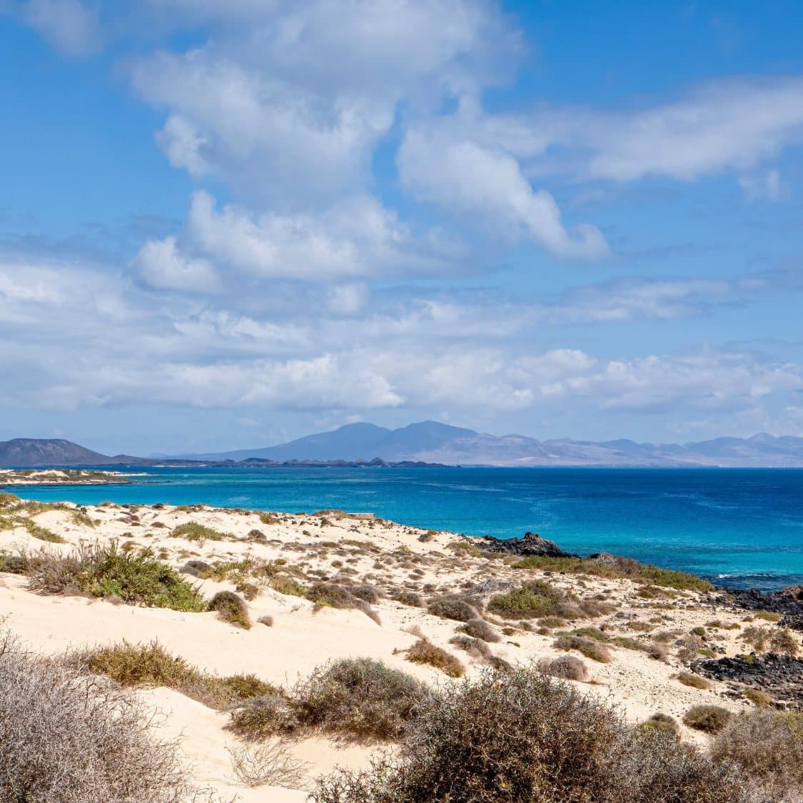 The Corralejo dunes above the sea, no people